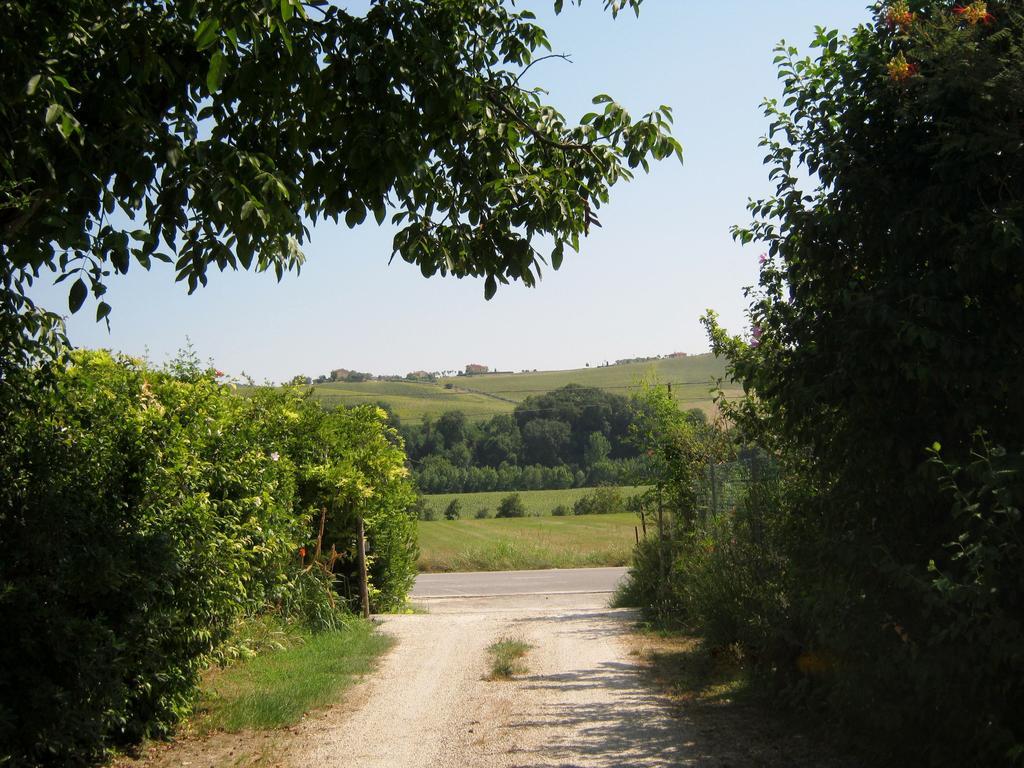 Agriturismo Le Vigne Фермо Екстер'єр фото