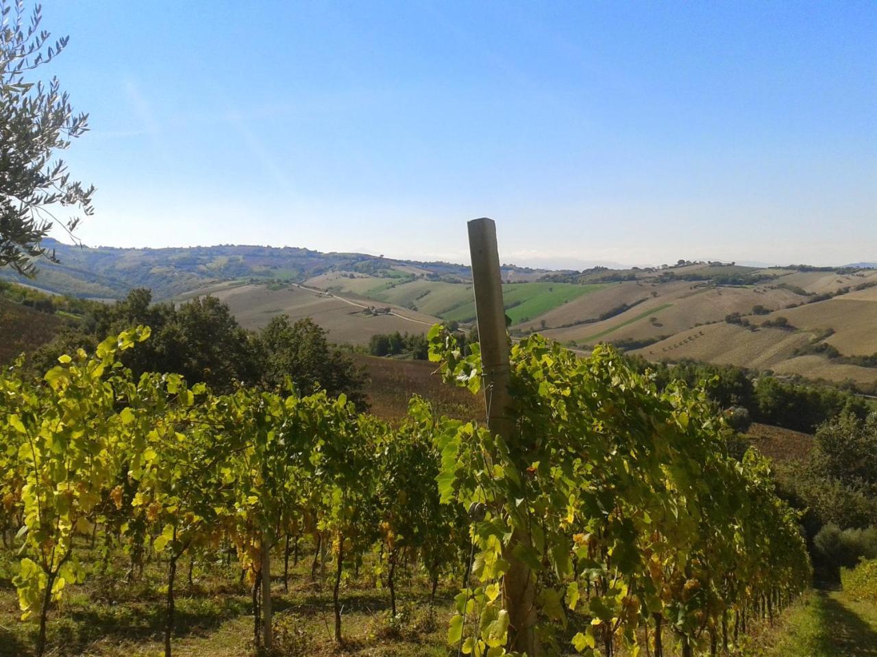 Agriturismo Le Vigne Фермо Екстер'єр фото